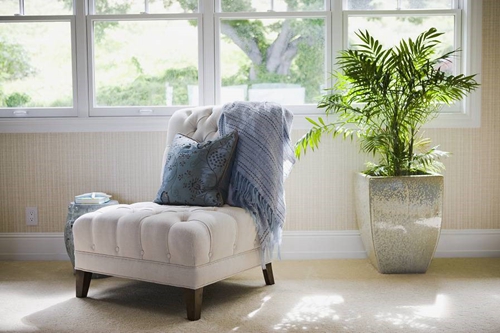 04362a6d-ab48-45d7-8669-75bd2e93166b